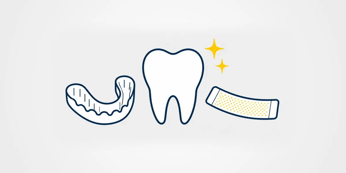 Dental whitening tray, tooth, and whitening strip illustration